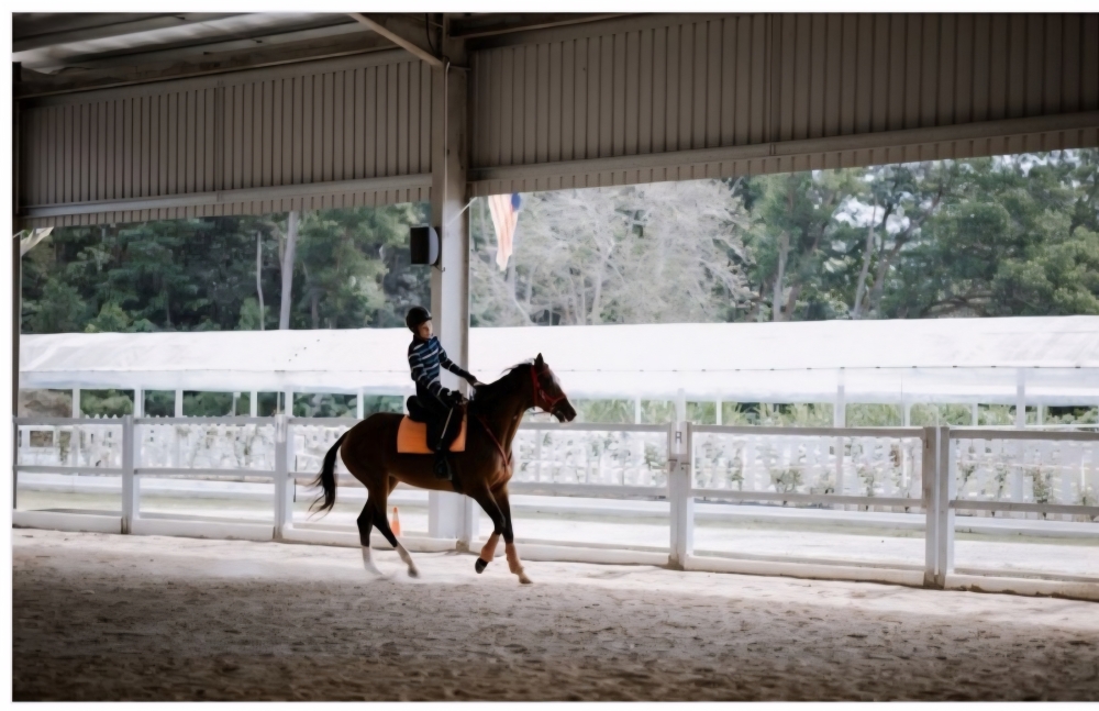 Rayqal showed signs of being different from an early age, as he was less sociable, frequently experienced tantrums and often flapped his hands when overly excited. — Bernama pic