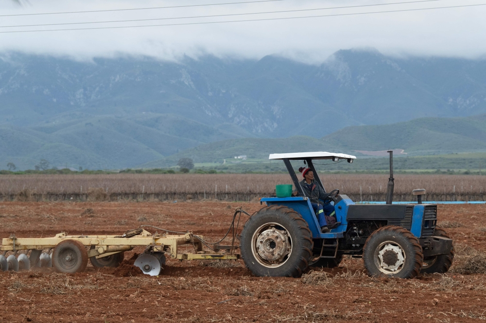 A farmworker drives a tractor on a farm close to the town of Robertson, in the Western Cape Province, South Africa on July 9, 2026. — AFP pic