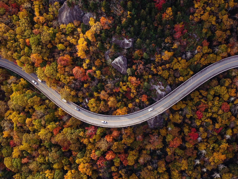 Can self-driving cars take on unmapped country roads? u00e2u20acu201d AFP pic