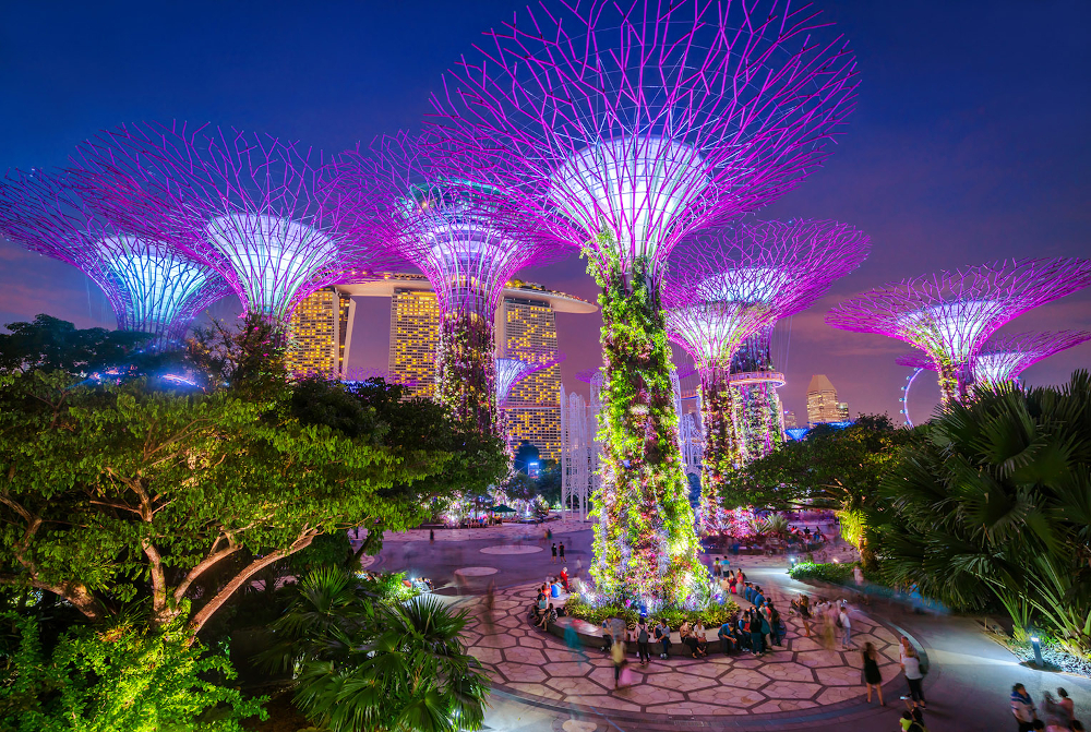 To be certified u00e2u20acu02dcSG Cleanu00e2u20acu2122, businesses must pass a seven-point checklist that includes screening the health and temperature of employees and workplace hygiene practices. u00e2u20acu201d Nikada/IStock.com pic via AFP-Relaxnews